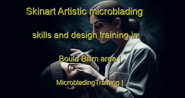Skinart Artistic microblading skills and design training in Boula Bilim area | MicrobladingTraining | MicrobladingClasses | SkinartTraining-Chad